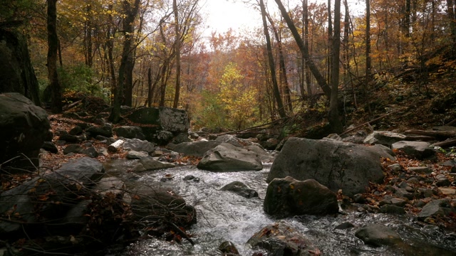 14839619 3840 2160 24fps